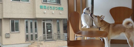 戸塚　舞岡の動物病院　外観・待合室